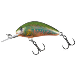 QHT1023 Wobler Salmo Hornet 6,0cm Floating - Holo Oikawa