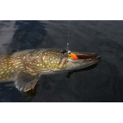 Guma Savage Gear Fat Minnow T-Tail