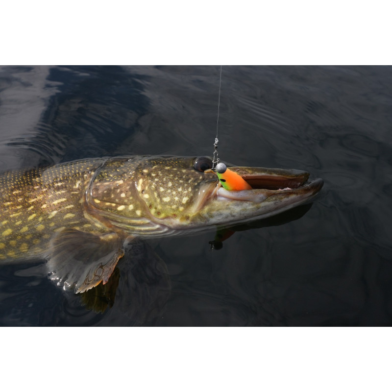 Guma Savage Gear Fat Minnow T-Tail