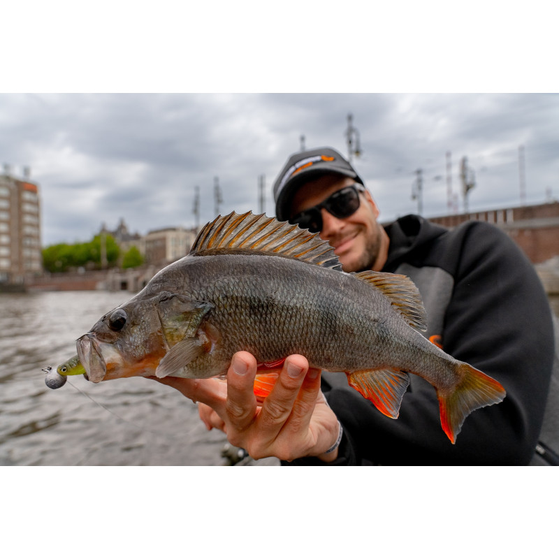 Zestaw gum Savage Gear Fat Minnow T-Tail