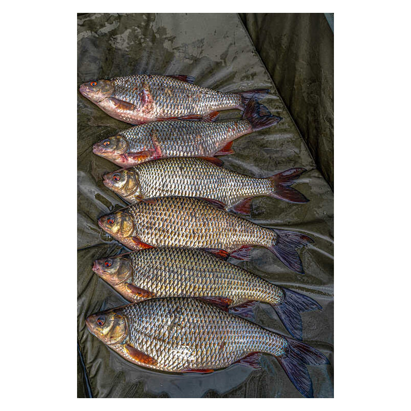 Rapala - Weight & Release Mat