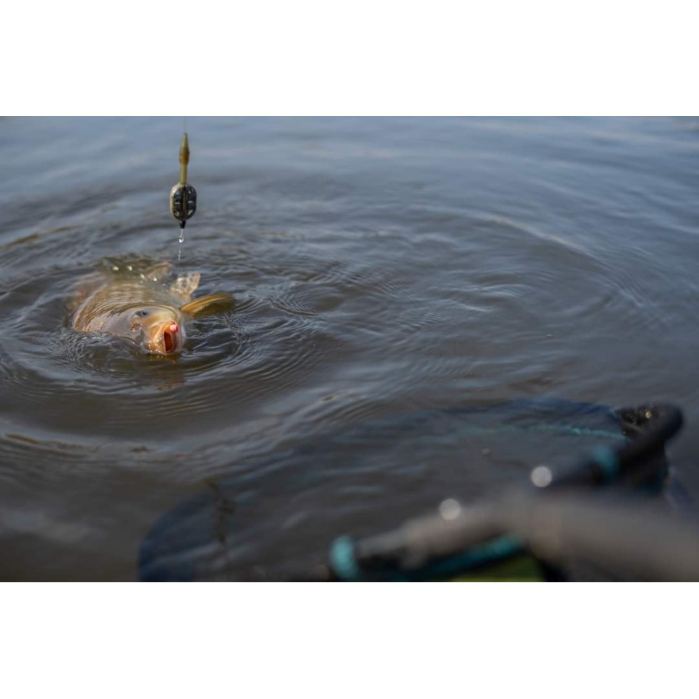 Sonubaits Band'Um Wafters Micro