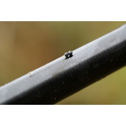 Śruciny Guru Micro Shot - roz. 8 // 0.06g