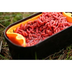 Wkładka do pudełka Guru Bait Strainer - 1 PINT