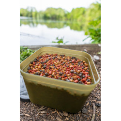 Pudełko Korum Bait Tub