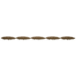 Libra Lures Larva Multi 5 x 2.5cm - 038 / BROWN