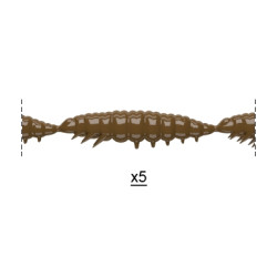 Libra Lures Larva Multi 5 x 2.5cm - 038 / BROWN