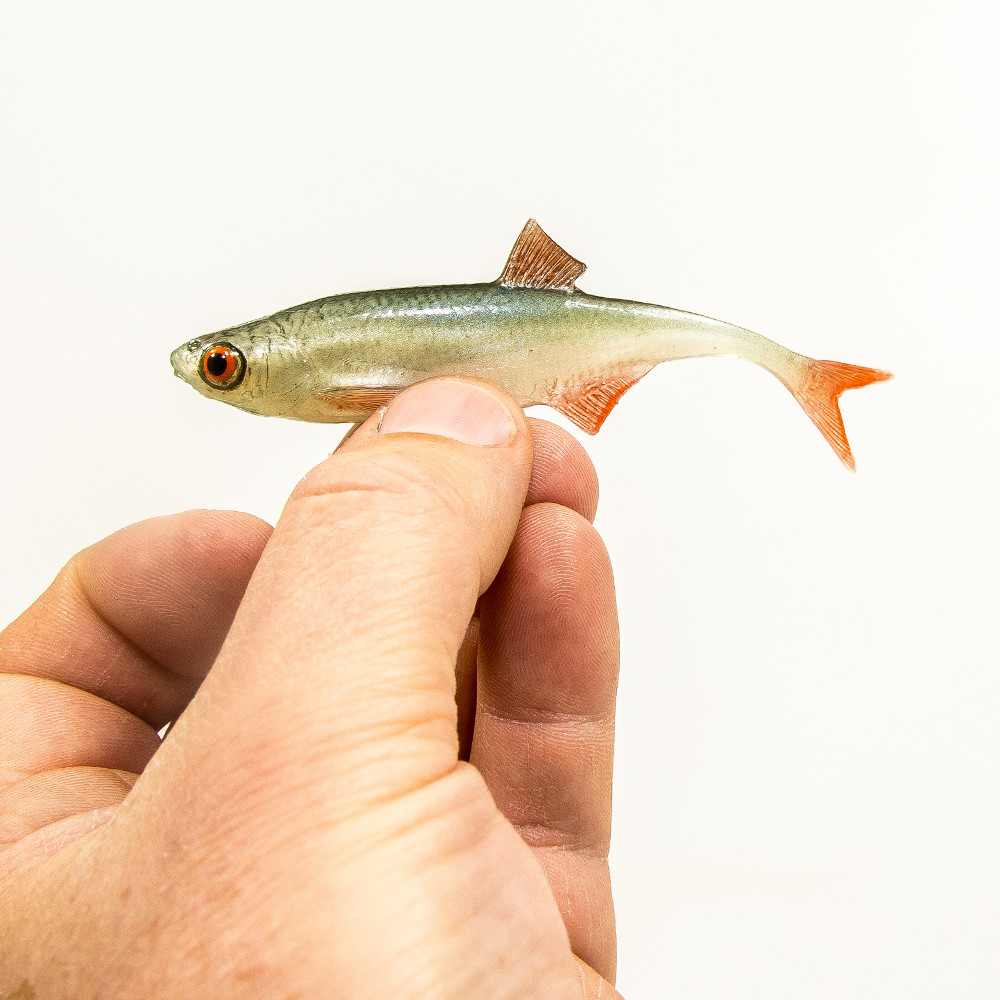 Guma Angry Lures Bleak F-Tail 2022 10cm - NOO