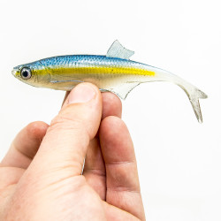 Guma Angry Lures Bleak F-Tail 2022 12.5cm - TBY