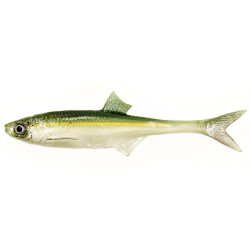 Guma Angry Lures Bleak F-Tail 2022 15cm - WGY