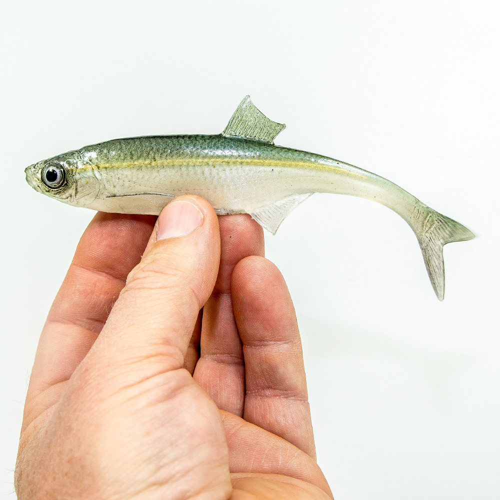 Guma Angry Lures Bleak F-Tail 2022 15cm - WGY