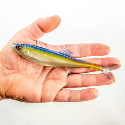 Guma Angry Lures Bleak F-Tail 2022 17cm - TBY