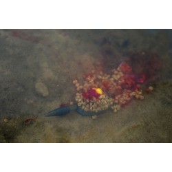 Koszyk In-Line Dura Flat Method - 20g - Large