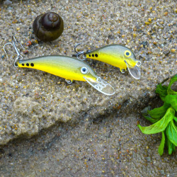 Wobler Siek BZYK i Siek Ukleja - EDYCJA DRAPIEŻNIK