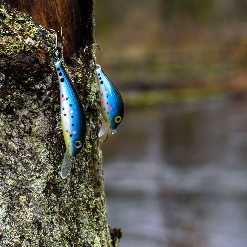Wobler Siek UKLEJKA i Siek Bzyk - EDYCJA DRAPIEŻNIK