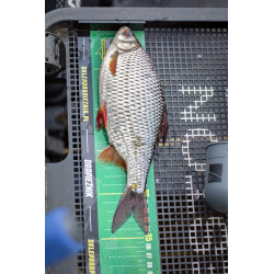 Sztywna miarka wędkarska Drapieżnik - 45cm
