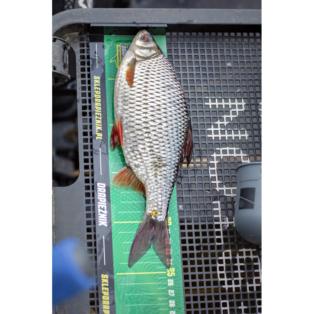 Sztywna miarka wędkarska Drapieżnik - 45cm