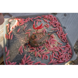 Koszyk zanętowy Korum Camo Grub Feeder