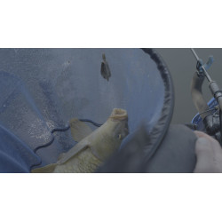 Koszyk zanętowy MAP Embed Feeder