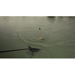 Koszyk zanętowy MAP Embed Feeder