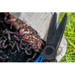 P0220126 Nożyczki Preston Worm Scissors