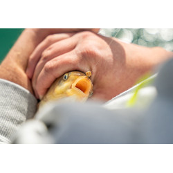 Gumki Matrix Super Soft Bait Bands