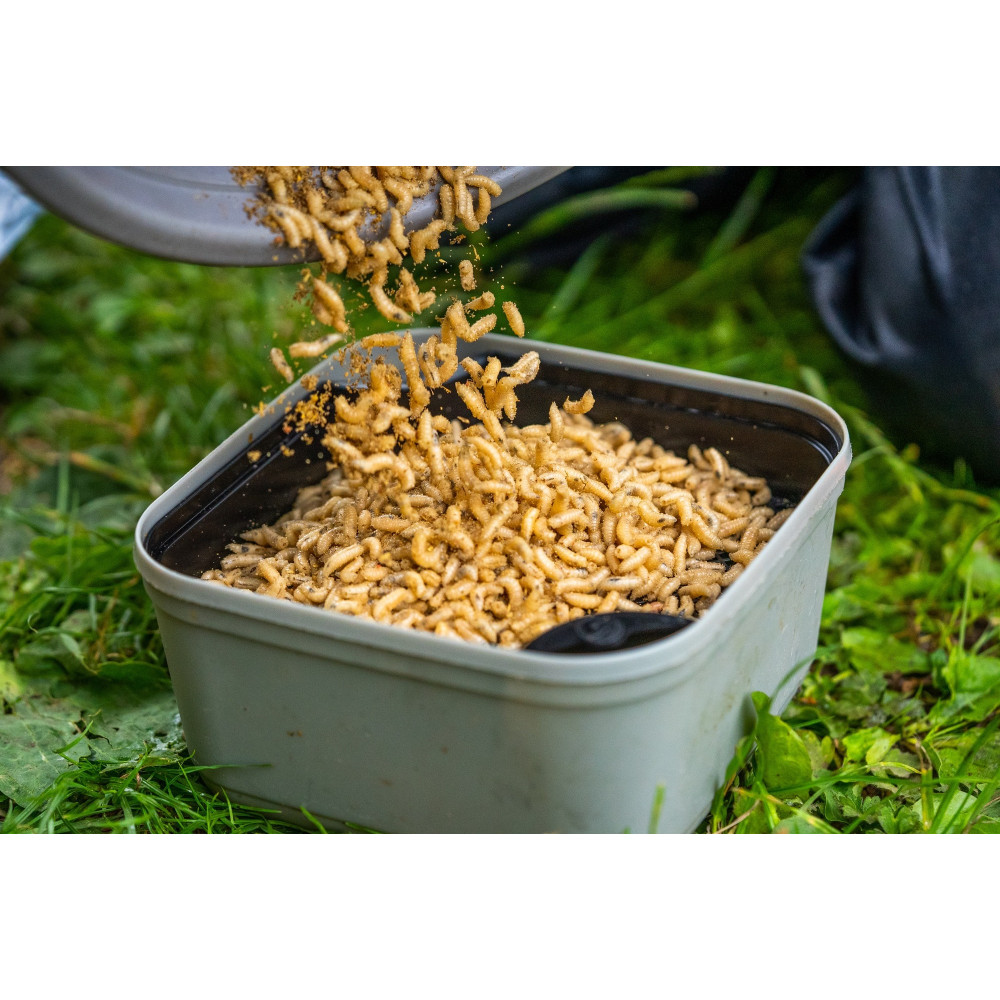 GMR007 Wkładka do pudełka Guru Maggot Riddle - BLACK