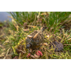 Koszyk zanętowy Korum Camo Window Feeder