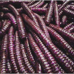 Gumy Perch Professor Flying Worm 2.75" / 7cm