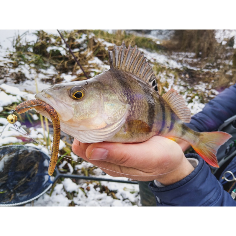 Gumy Perch Professor Flying Worm 2.75" / 7cm