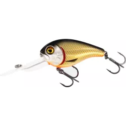 Wobler Westin MegaBite DR Crankbait 7,0cm - Official Roach