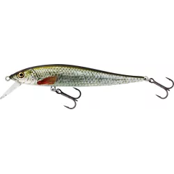 Wobler Westin Jerkbite SR 9cm - Real Roach