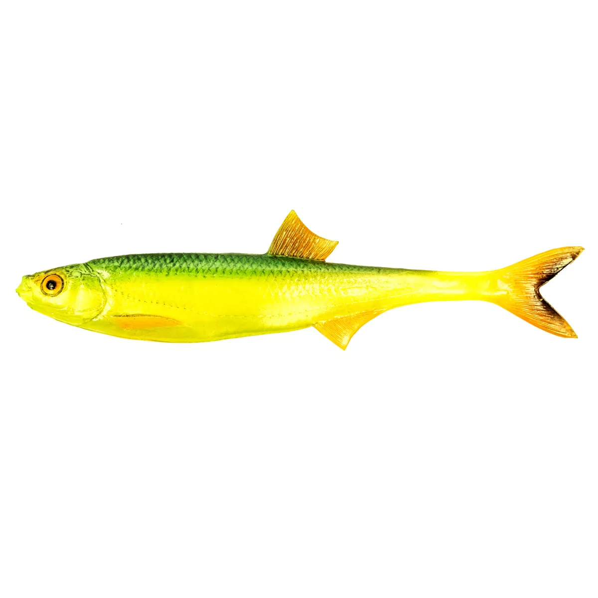 Guma Angry Lures Bleak F-Tail 17cm - FT - GYO
