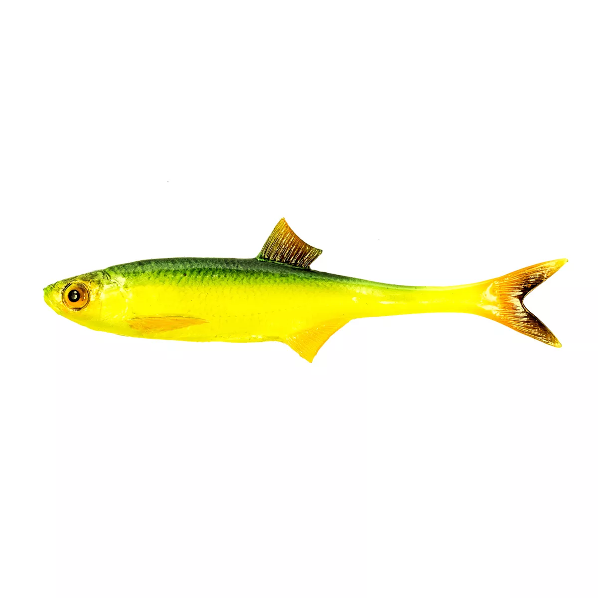 Guma Angry Lures Bleak F-Tail 15cm - FT - GYO