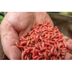 Haczyki Korum Xpert Maggot Barbed