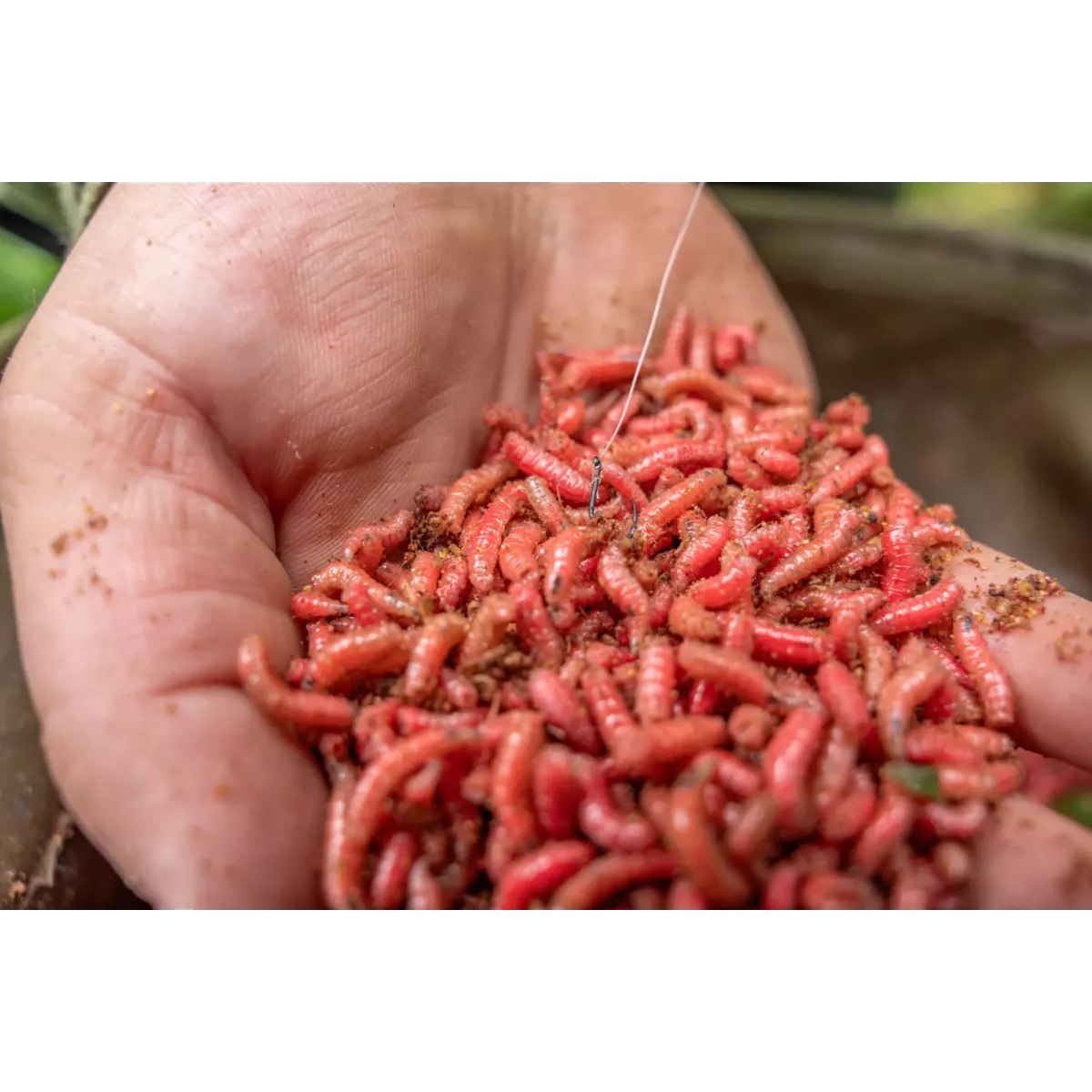 Haczyki Korum Xpert Maggot Barbed