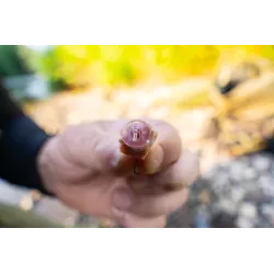 Stopery Korum Meat Stoppas