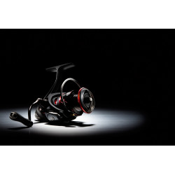 Daiwa Ballistic LT 4000D-CXH
