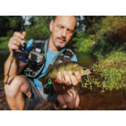 Gumy Perch Professor Fluky Shad 2" / 5.5cm