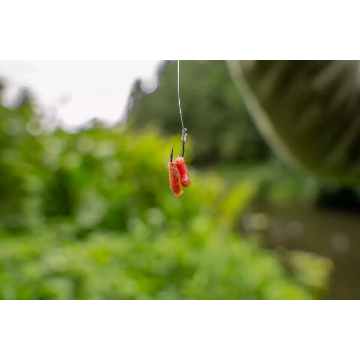 Przypony Korum Xpert Maggot To Nylon Barbed 30cm