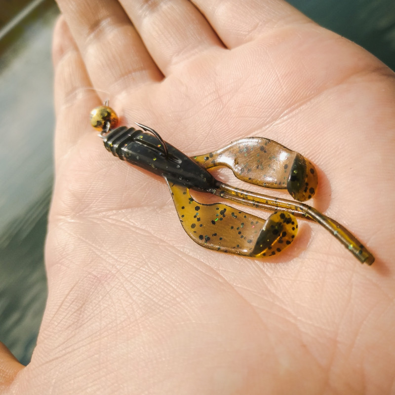 Gumy Perch Professor Fapping Craw