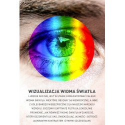 Okulary Wiley X Captivate