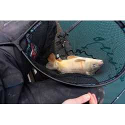 Kosz podbieraka Preston Carp XS Landing Net