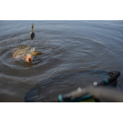 Sonubaits Band'Um Wafters Micro