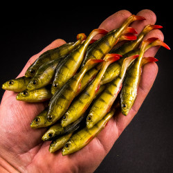 Guma Angry Lures Perch 7,5cm - NGR