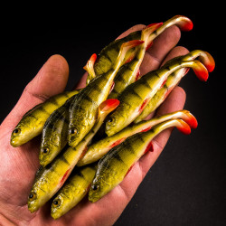 Guma Angry Lures Perch 9,5cm - NGR