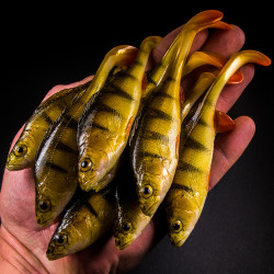 Guma Angry Lures Perch 13,5cm - NYO