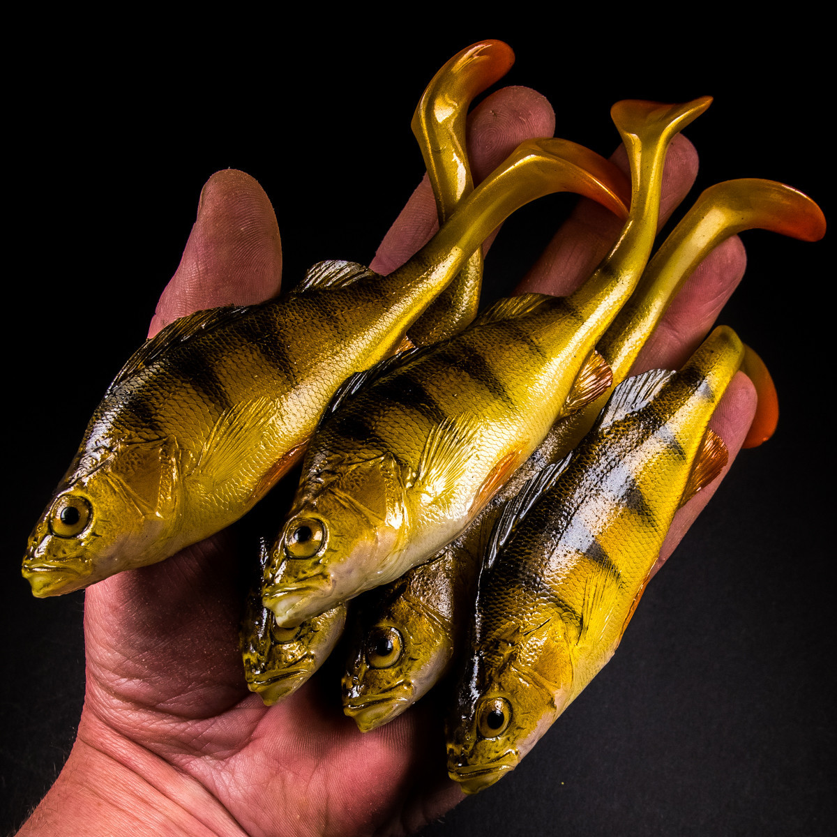 Guma Angry Lures Perch 15,5cm - NYO