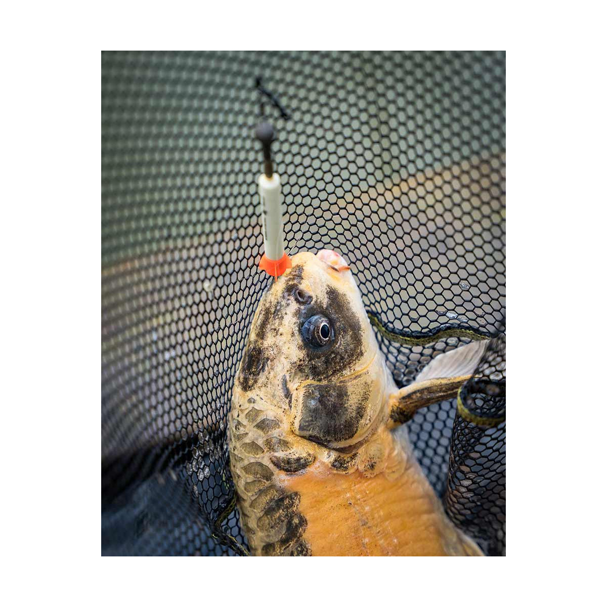 Spławik Matrix Foam Pellet Waggler 9mm