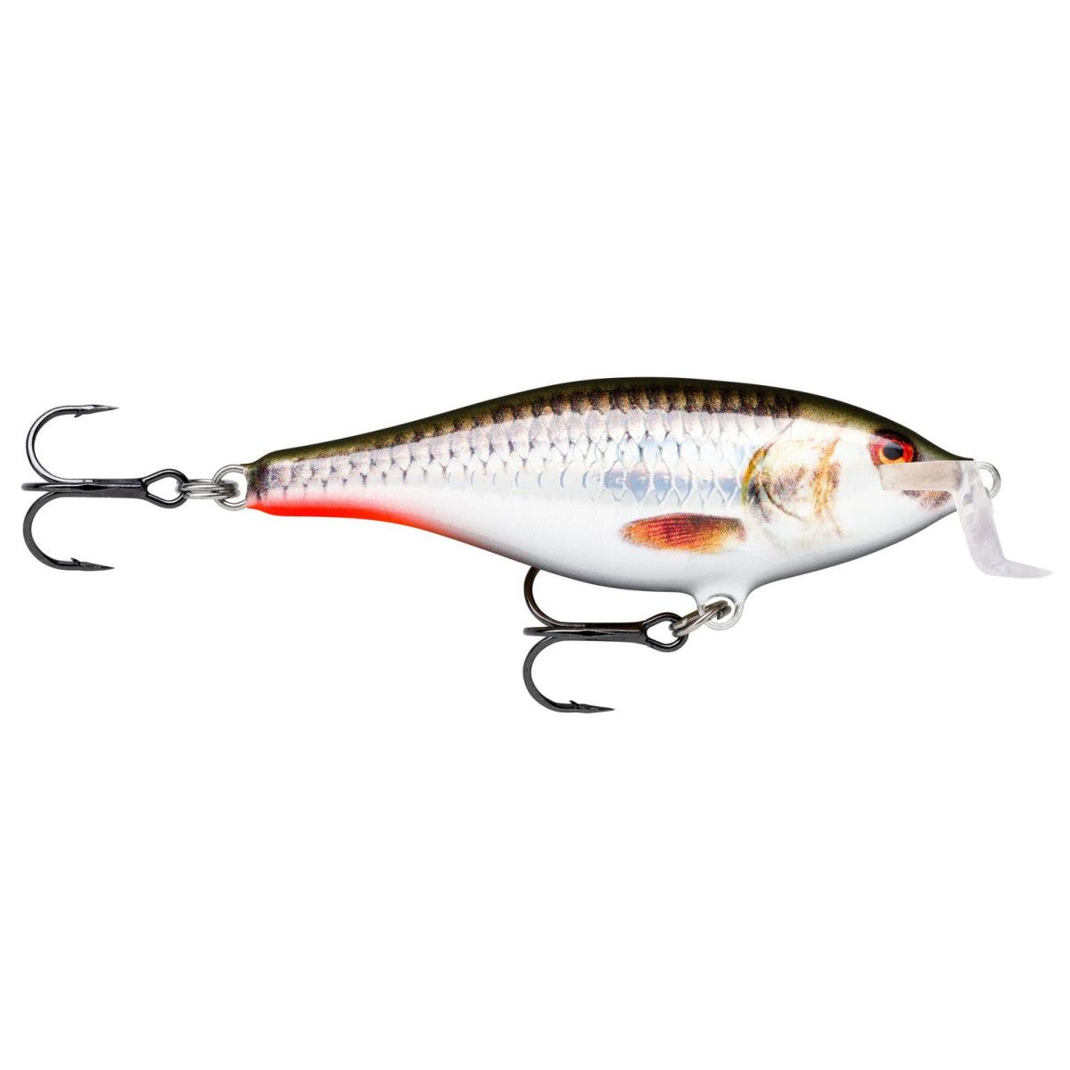 Wobler Rapala Shallow Shad Rap 7cm - ROHL / Live Hologram Roach